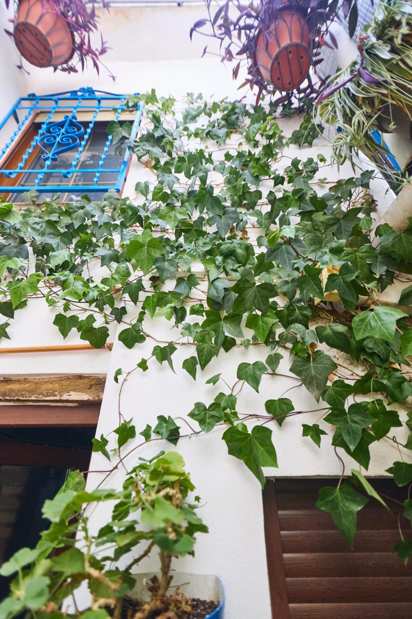 Casa El "Tablao De Las Almendras" グラナダ エクステリア 写真